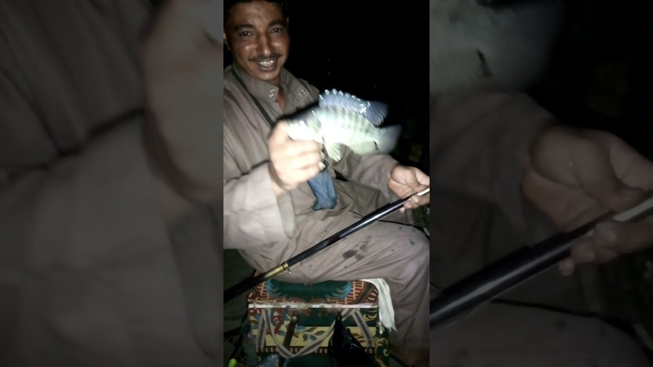 صيد سمك بلطي مصرف ابوحشيش تابع لمحافظه الجيزه طريق المريوطيه