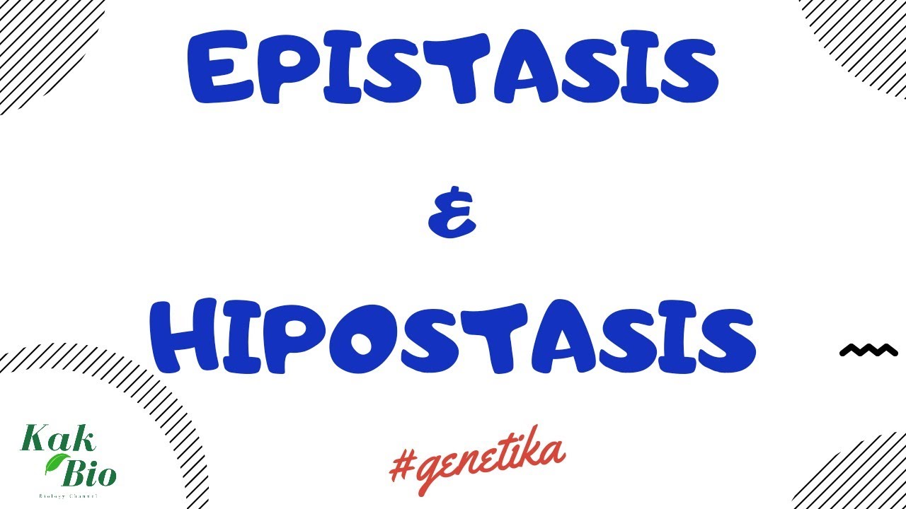 Persilangan Epistasis & Hipostasis | Penyimpangan Hukum Mendell
