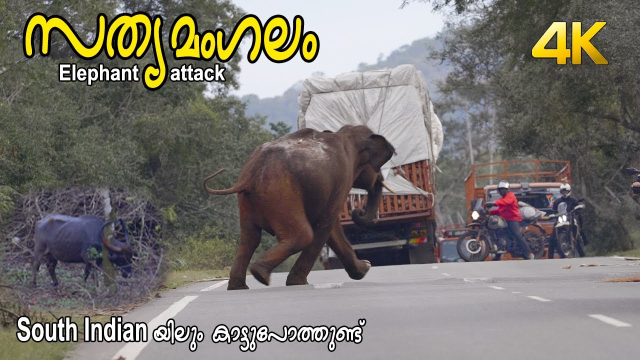 Sathyamangalam!!! 4K