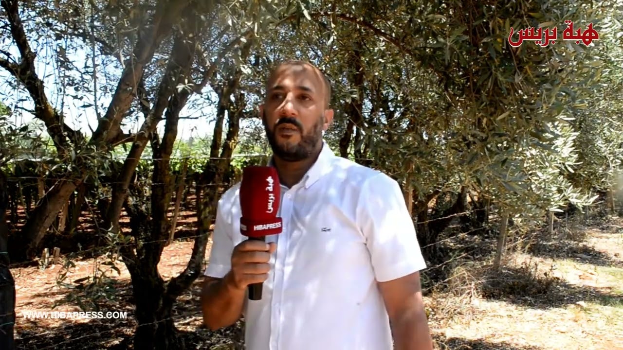 مهاجر مغربي يتعرض للنصب و الاحتيال من طرف شخص و محاكم مكناس لم تنصفه