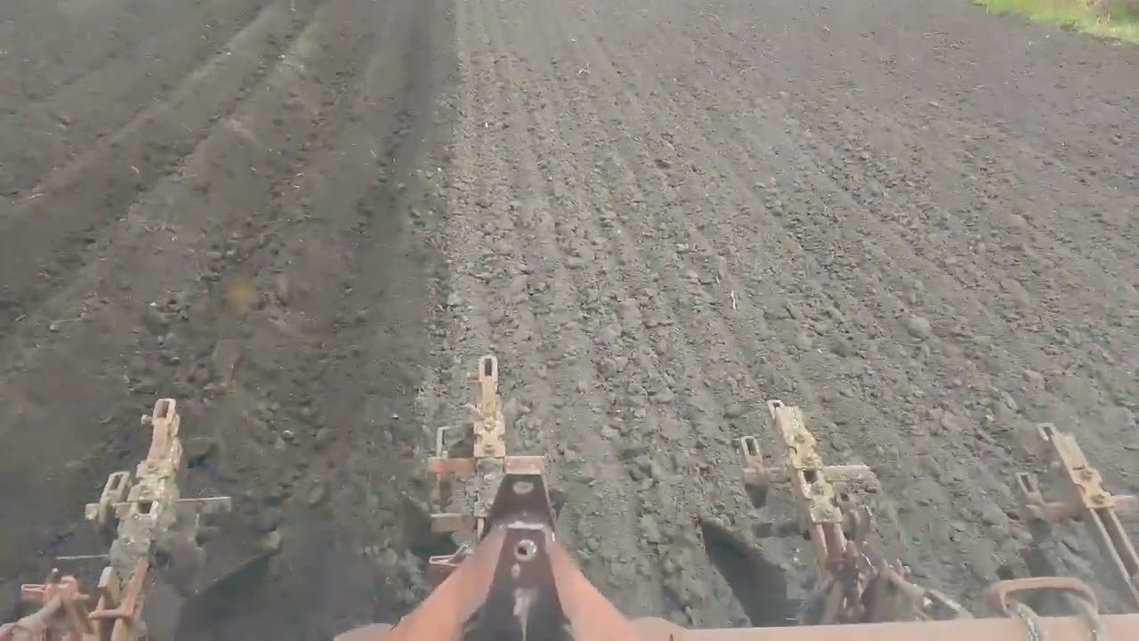 Сельские будни в мае.
