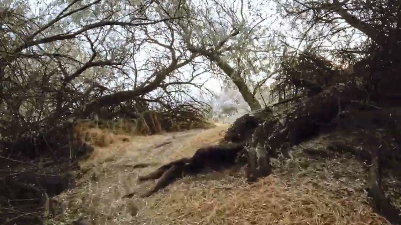 Hidden trail at Chamna Natural Preserve