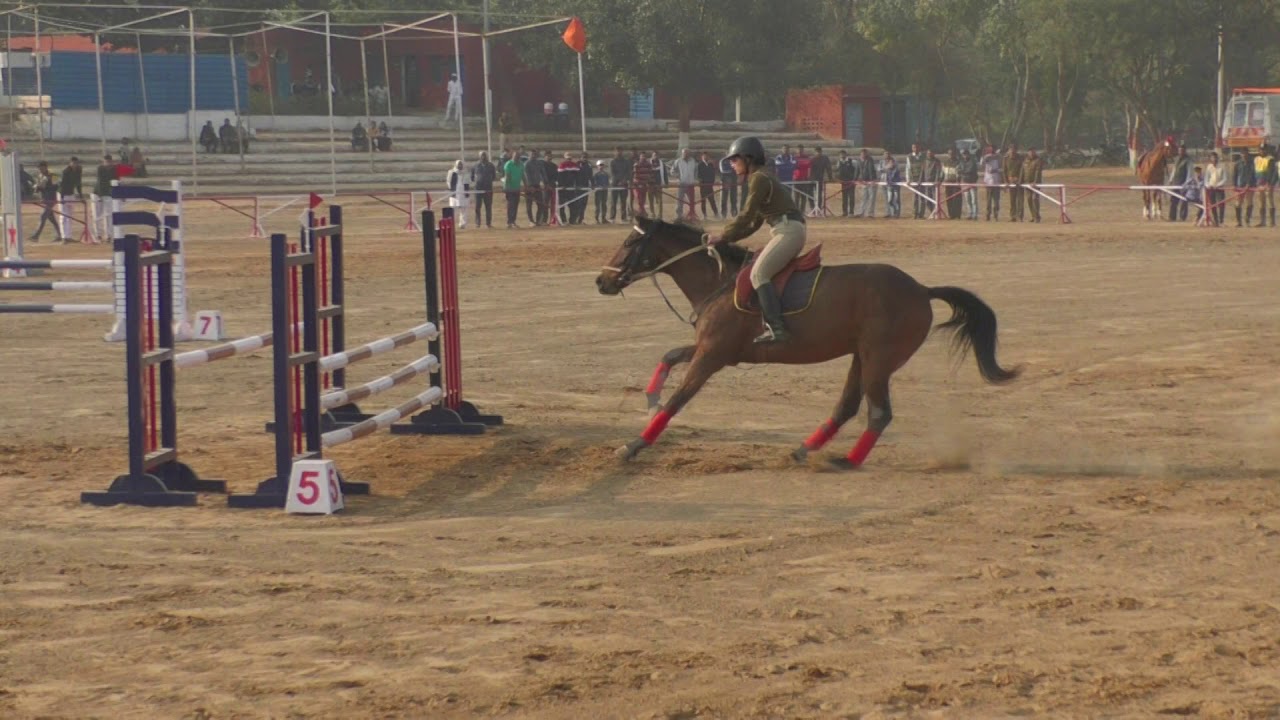 show Jumping|Ritu dahiya|horse riding|Calliber| Haryana Police Academy|