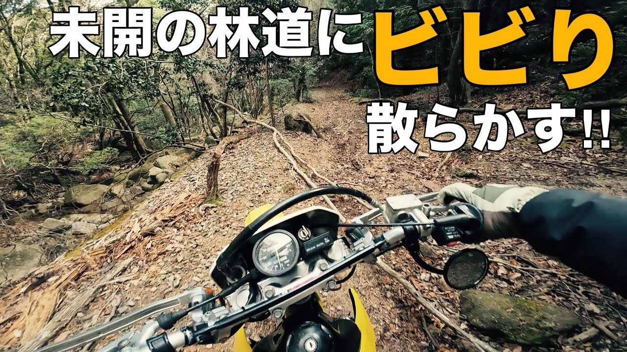 【RMX250 林道】2ストオフ車で林道散策してたらヤバい所に迷い込んでしまった！【SUZUKI  sj13 鈴菌 ｵﾌﾛｰﾄﾞ 林道ﾂｰﾘﾝｸﾞ 三重県】