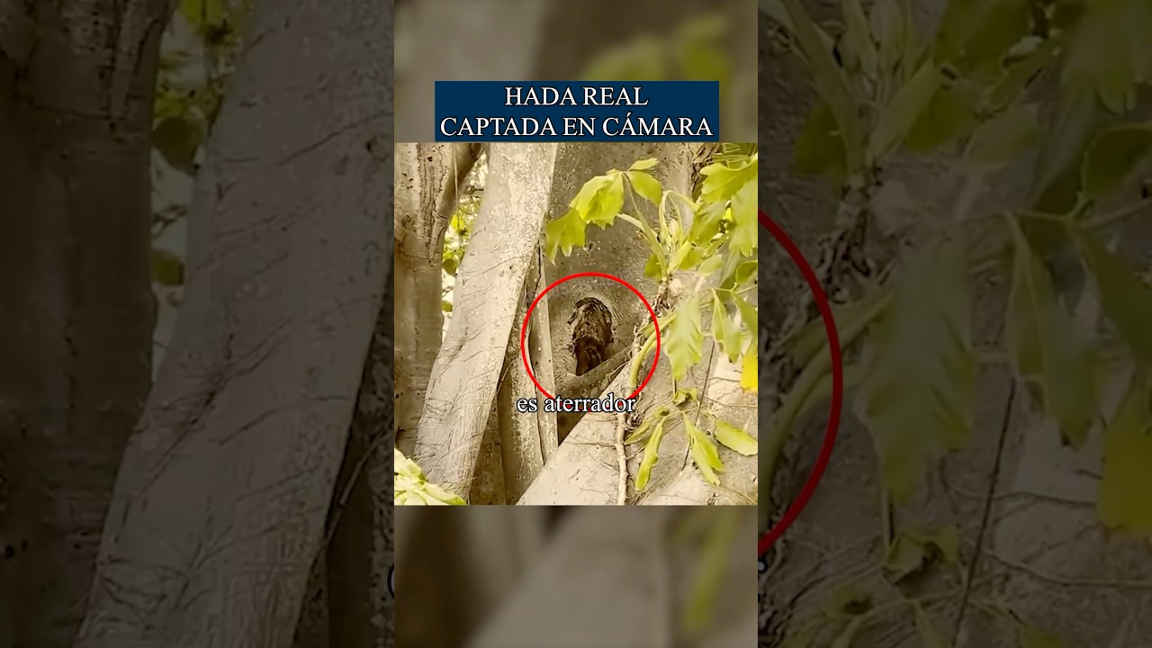 Hada real captada en c&aacute;mara 😰💀#shorts