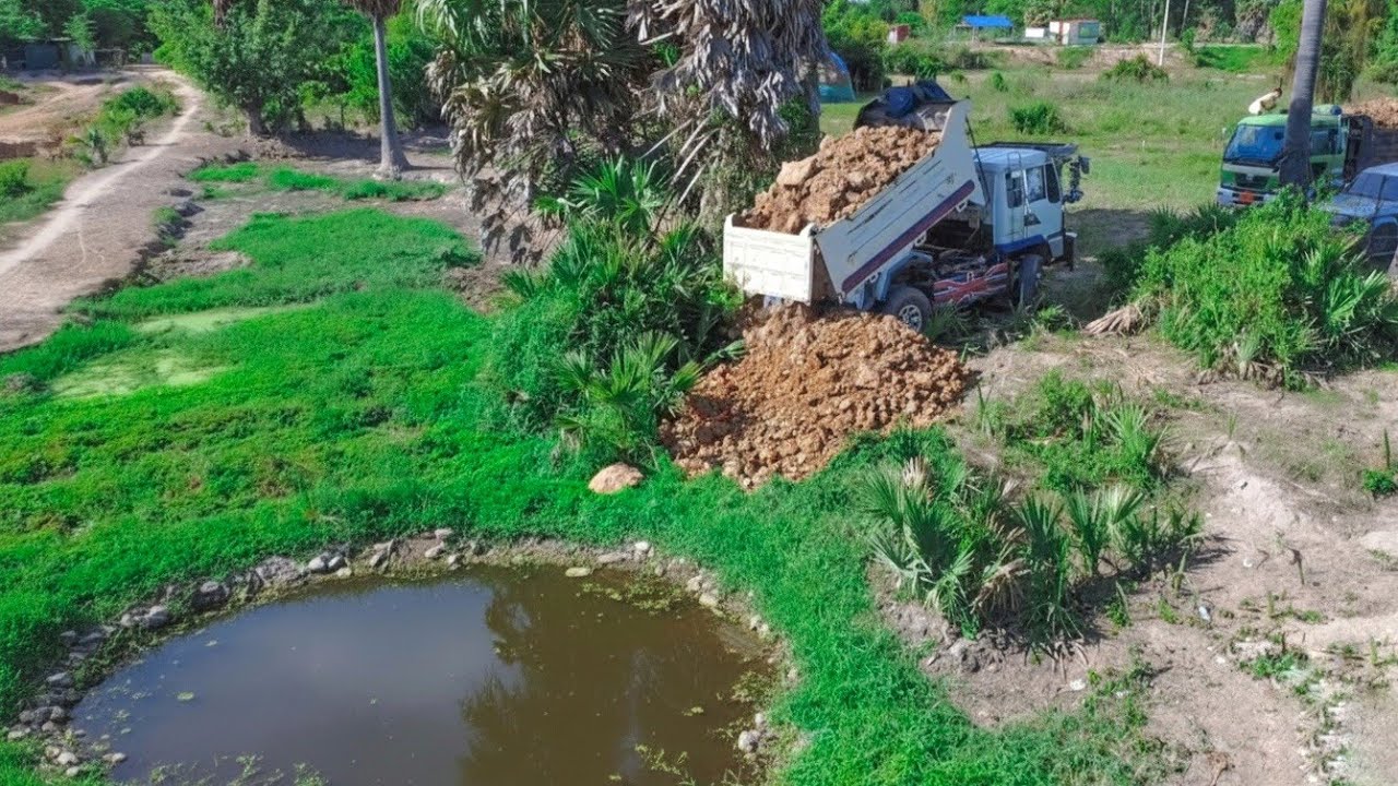 Complete Project Landfill use soil work bulldozer pushing with dump truck uploading soil