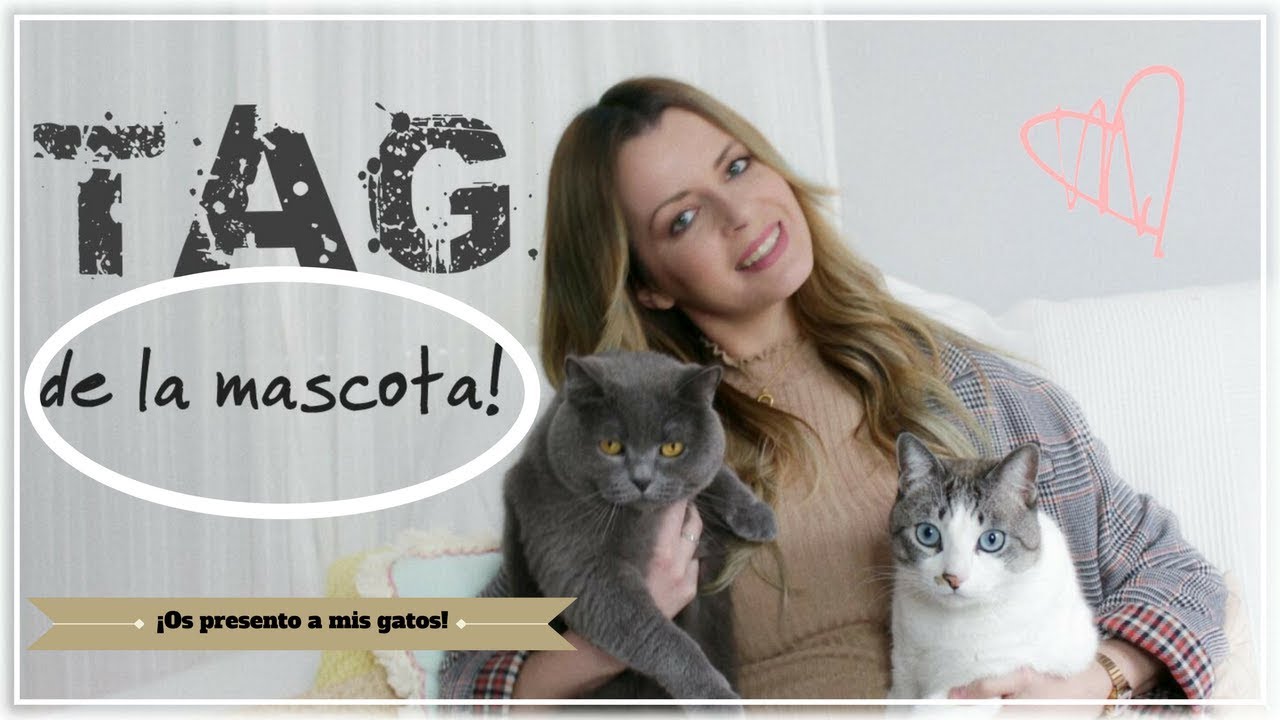 TAG DE LA MASCOTA | ¡Os presento a mis gatos!