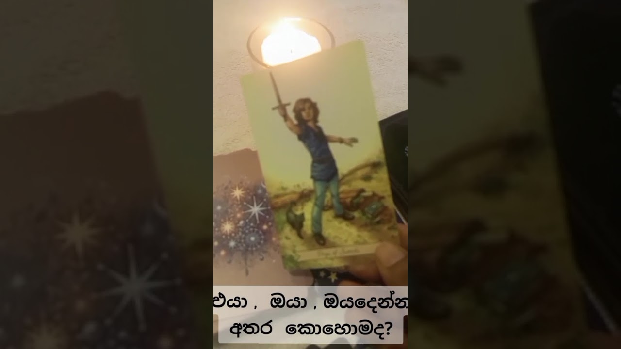 එයා , ඔයා , ඔය දෙන්නා අතර  ඇති සබධතාවය#tarotreading #viral #tarot #fyyppppp #pppppppppppppppppppp#