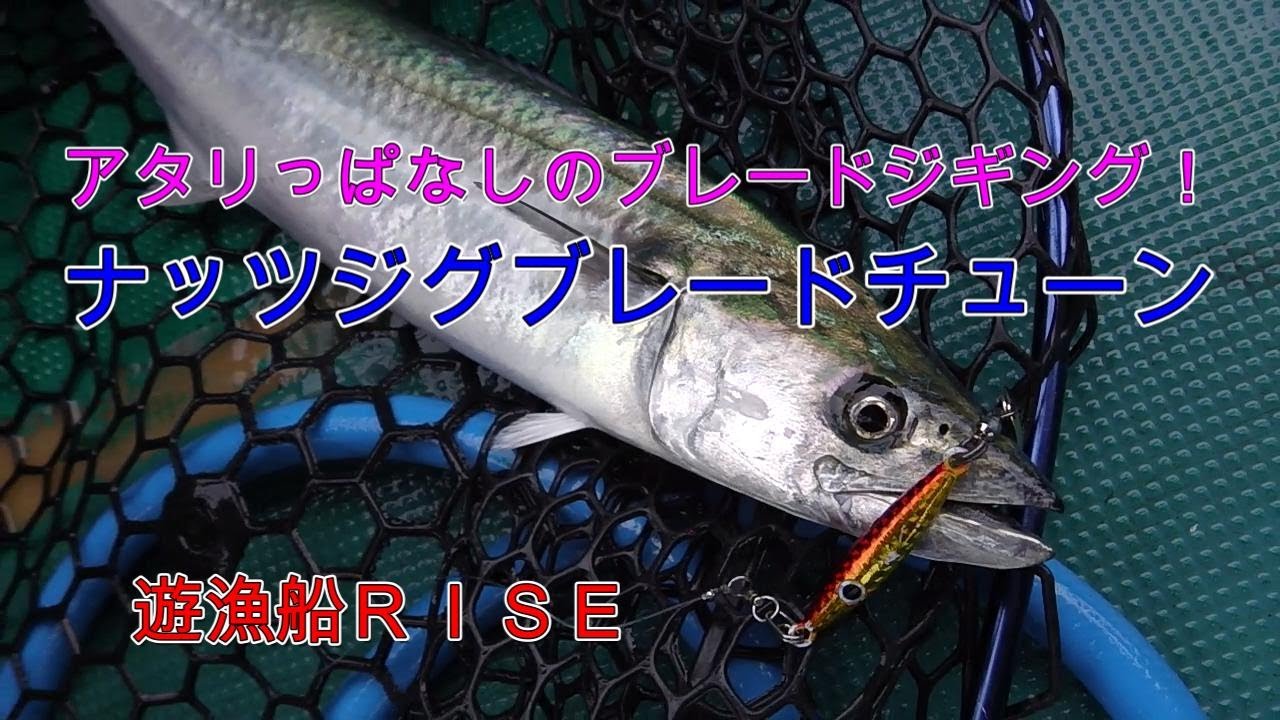 【ブレードジギング】アタリっぱなし！ナッツジグブレードチューンでサワラ、サゴシ、青物