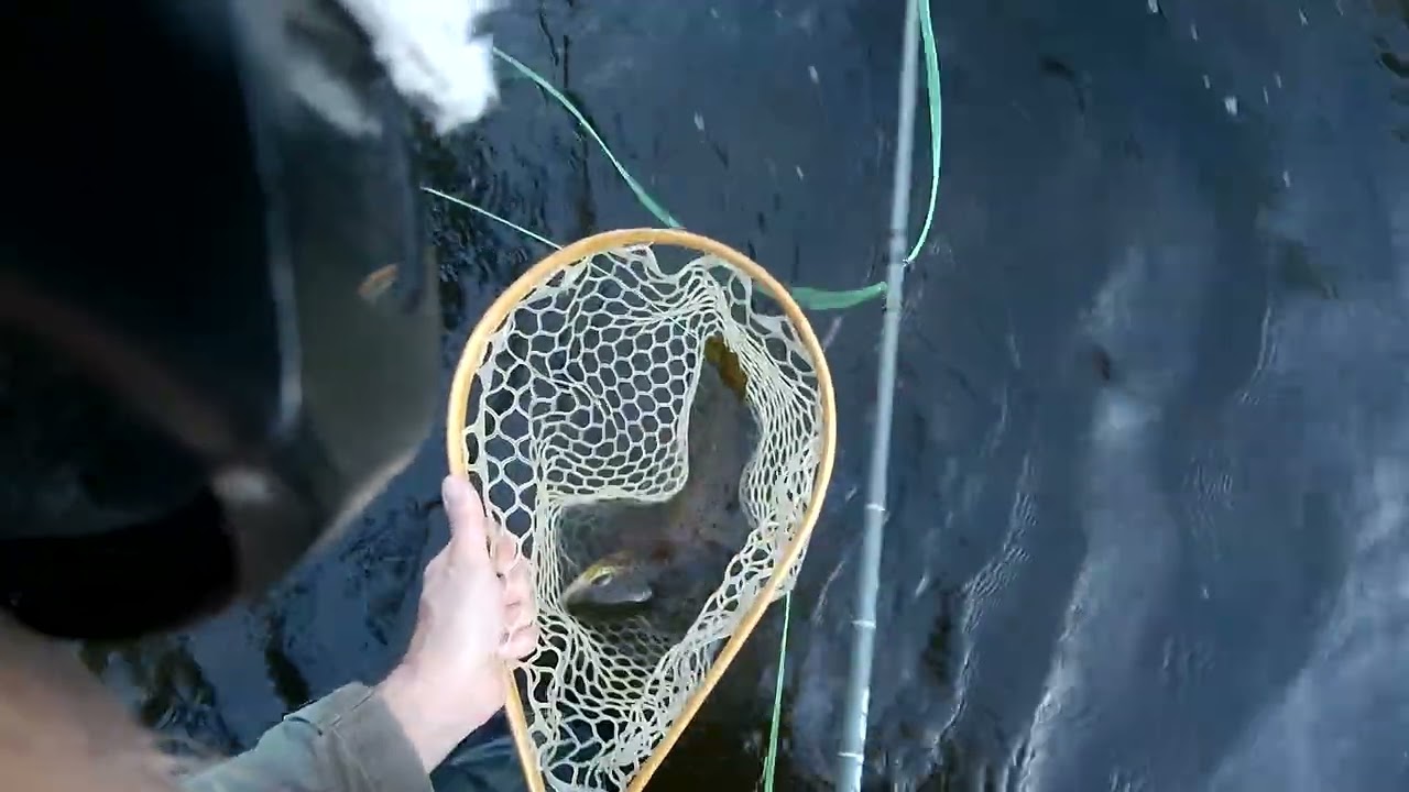 Wolf River Trout Fishing 10-10-25