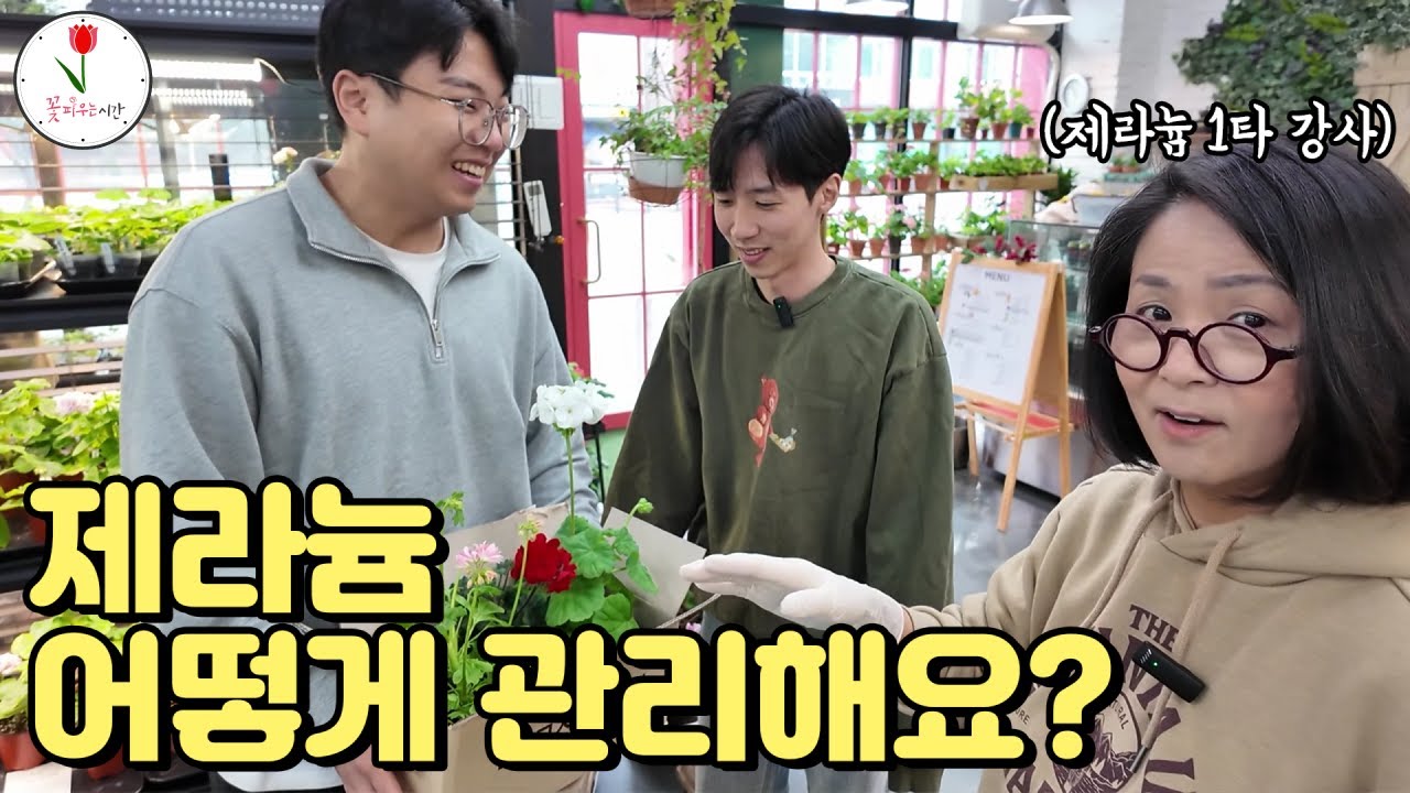 1타 강사님께 제라늄 관리 비법 전수받고 왔습니다