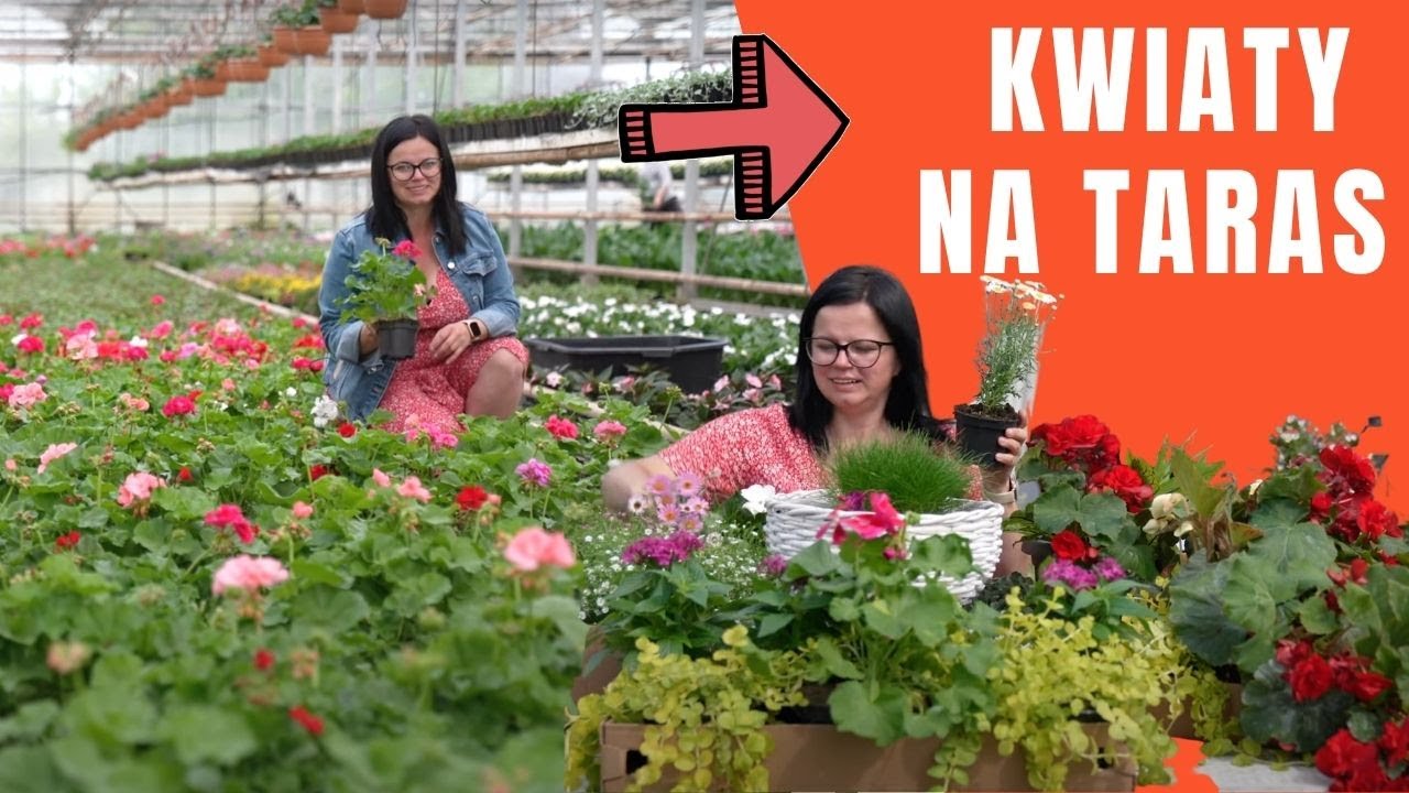 Kwiaty na taras długokwitnące. Wytrzymałe kwiaty na balkon. Zabrałam Was do producenta.