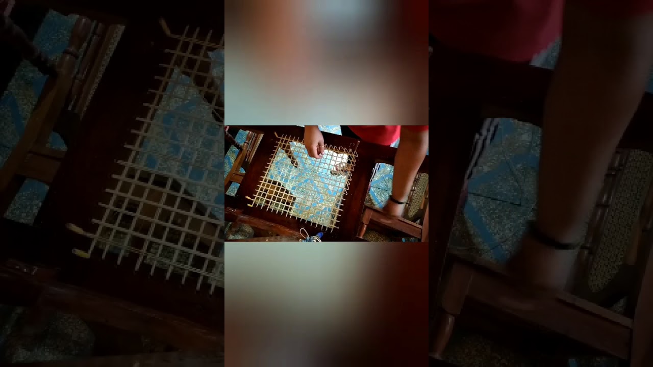 Enjuncado estilo mariposa
