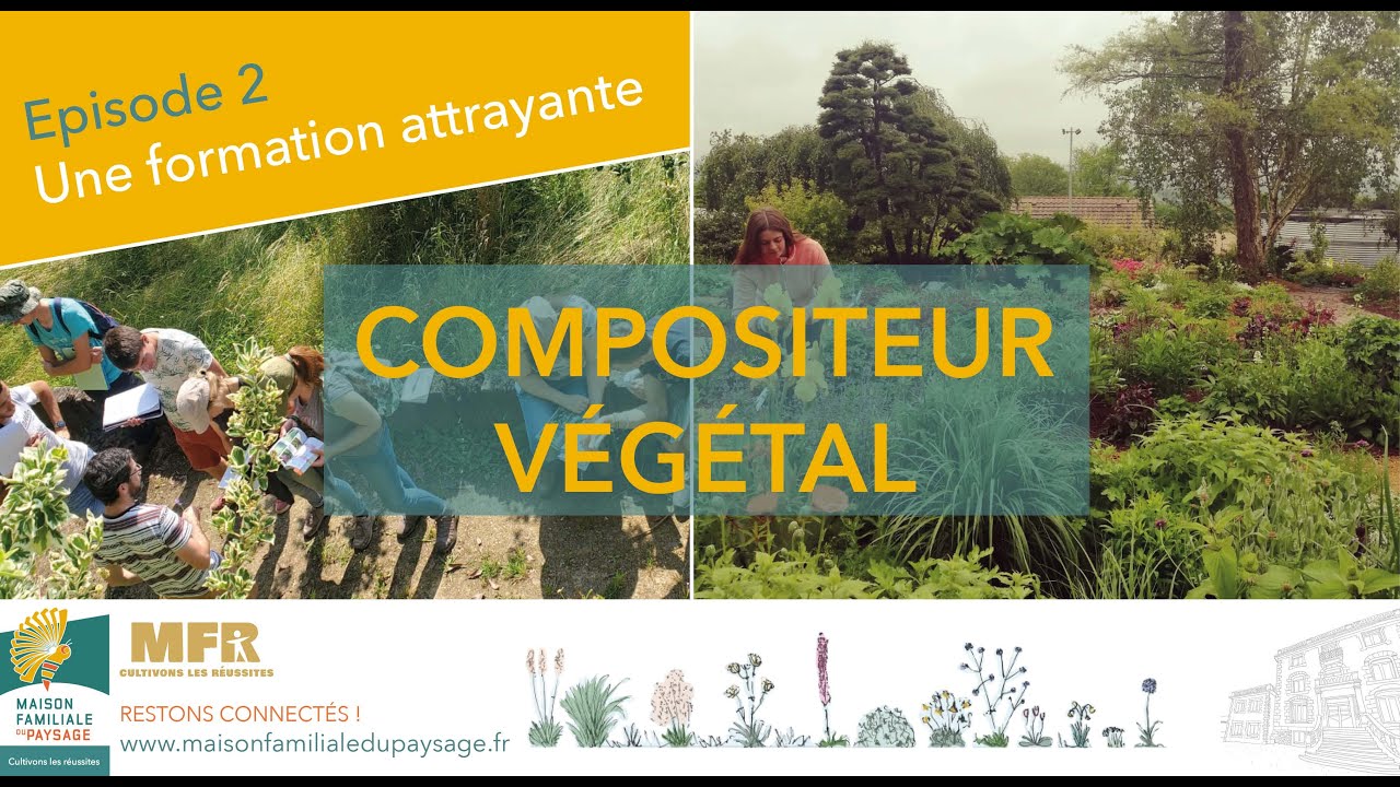 Episode 2: Une formation attrayante!