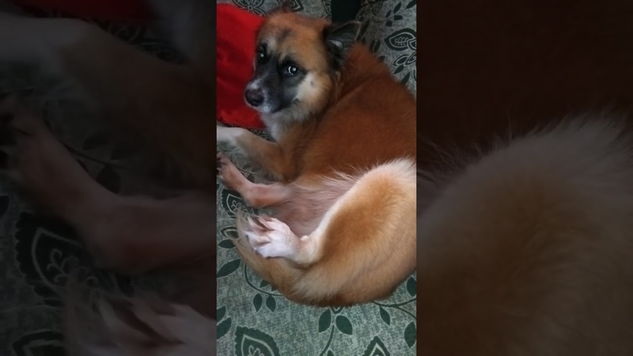 Relax kau siya oh