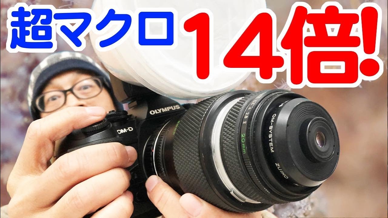 超マクロ【14倍】撮影システム／1mm以下の微小生物撮影／写真はもちろん動画もバッチリ！／OLYMPUS E-M1 Mark II + ZUIKO MACRO 20mm F2