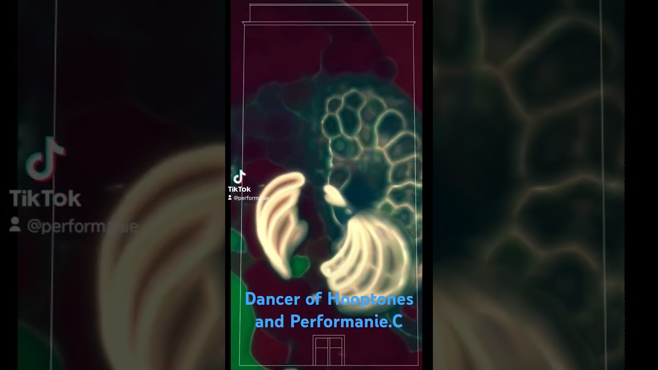 Dancer of the Hooptones and Performanie.C