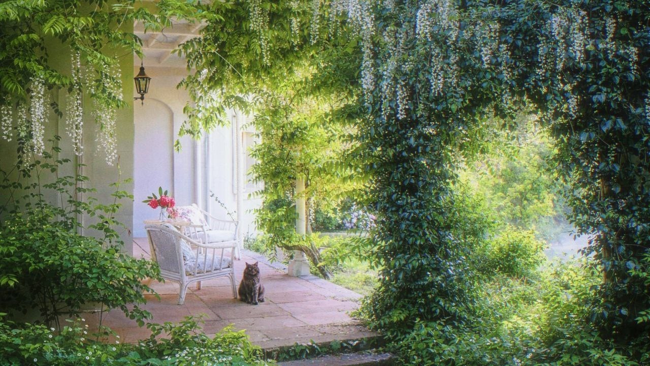 a comfort playlist for a quiet morning🌱 (calm piano to relax and read)