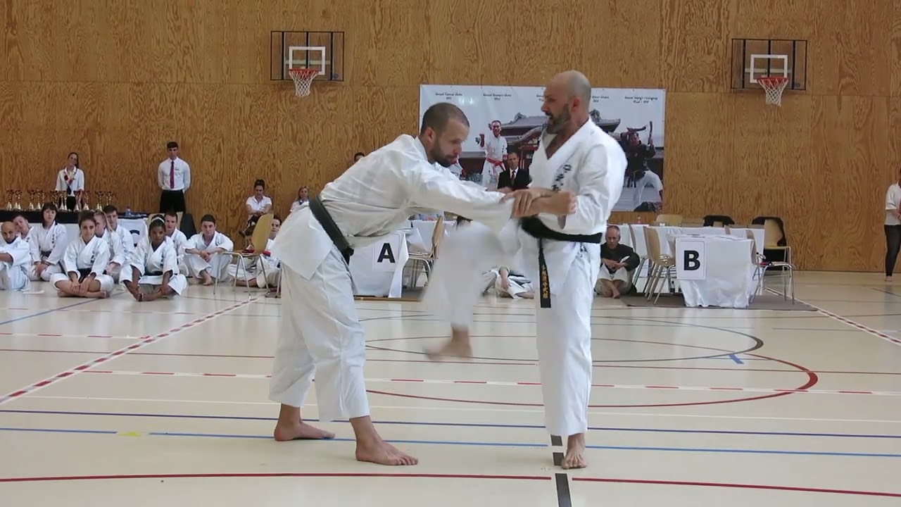 Matsumura no Passai avec bunkais