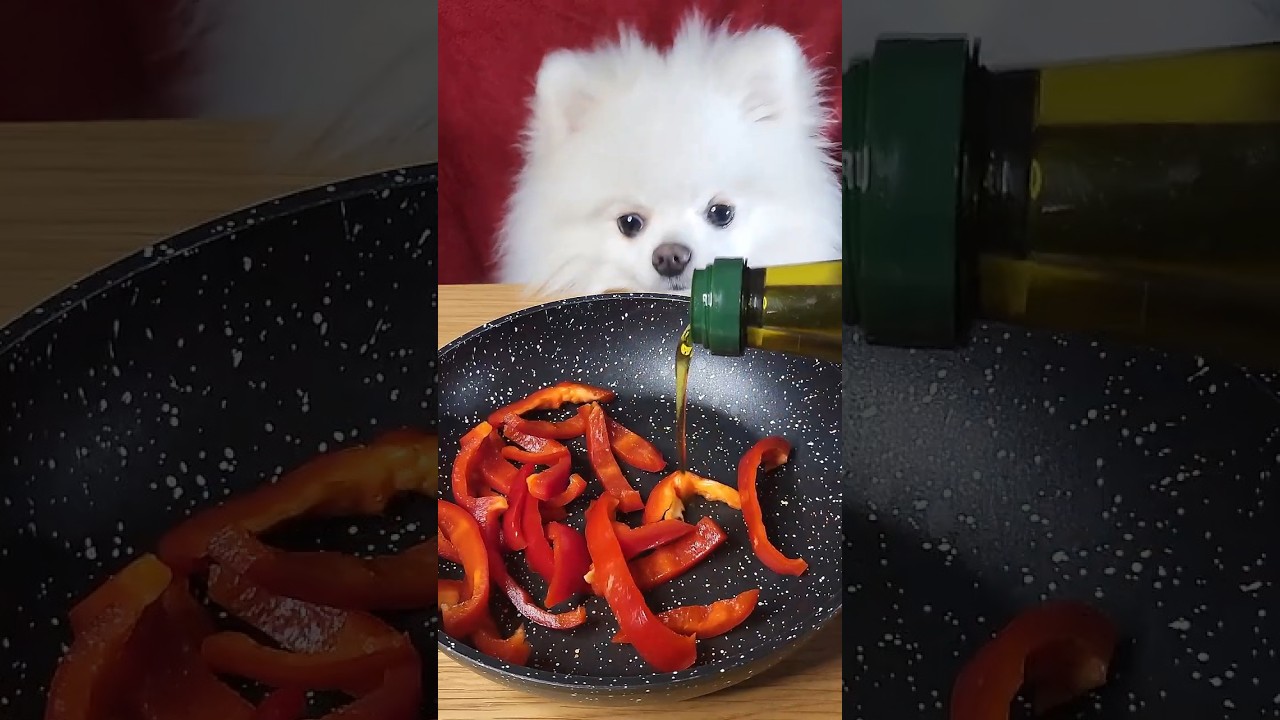 I Make a Gourmet Meal for My Dog - ASMR FOOD