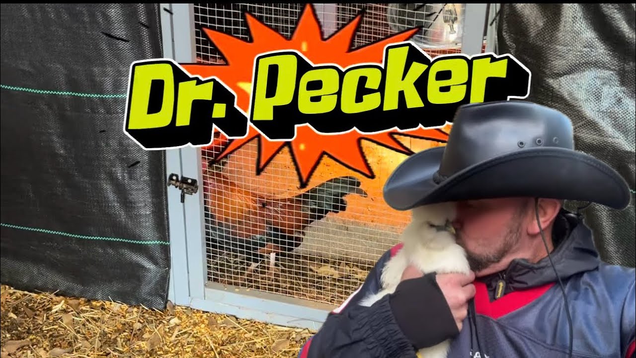 Dr Pecker is GONE- but I do have a replacement! 