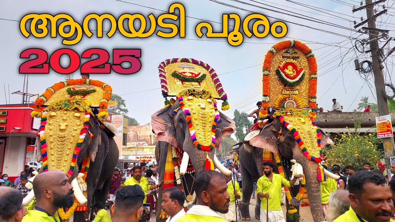 Anayadi pooram 2025 |Aayadi sree narasimha temple|24TIMETRAVEL