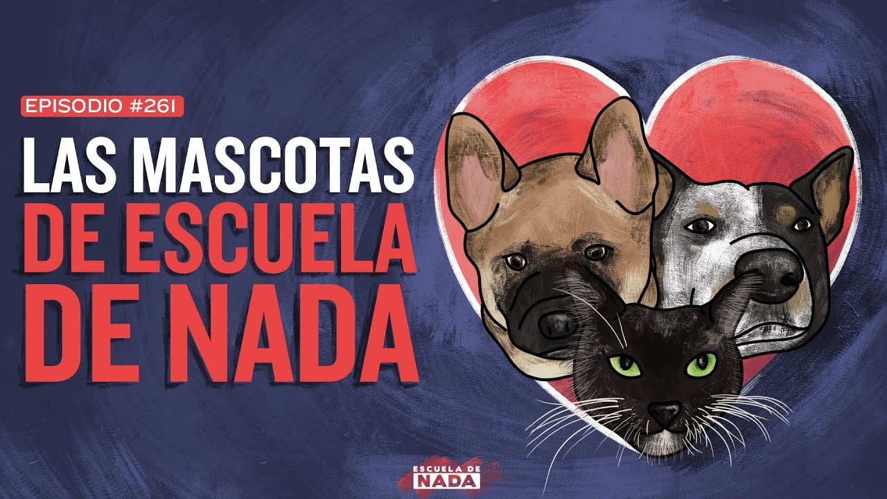 Las mascotas de Escuela de Nada y Top 3 animales - EP #261