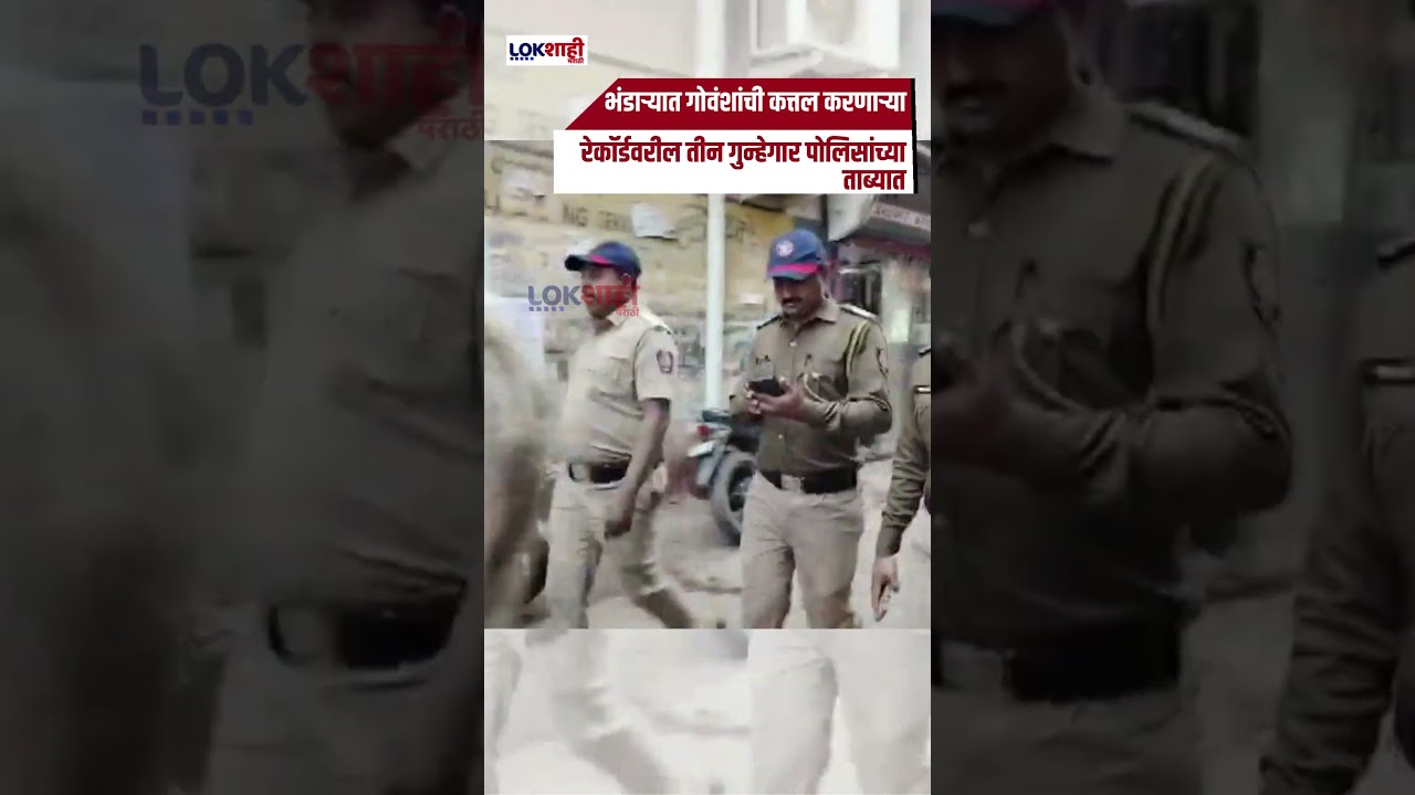 Bhandara: भंडाऱ्यात गोवंशांची कत्तल करणाऱ्या रेकॉर्डवरील तीन गुन्हेगार पोलिसांच्या ताब्यात #shorts