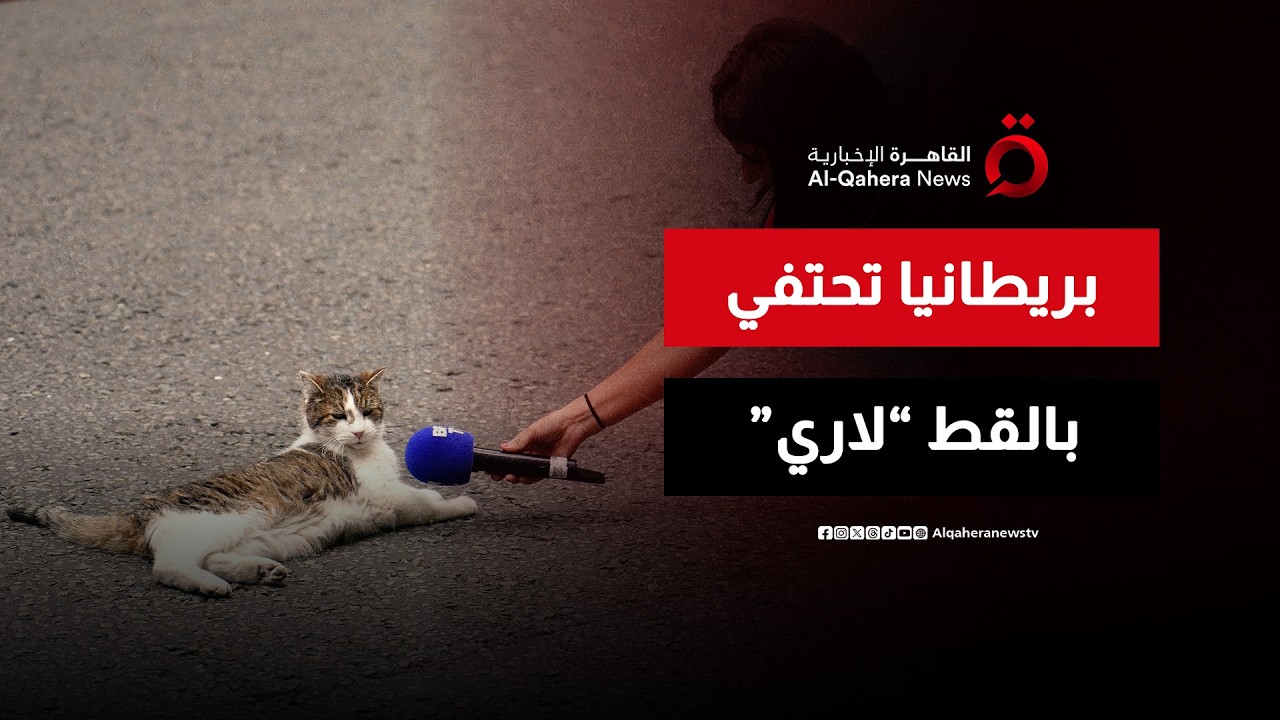 أهرامات الجيزة تدهش براين آدمز وأسرته.. وبريطانيا تحتفي بكبير صائدي الفئران | ترندي