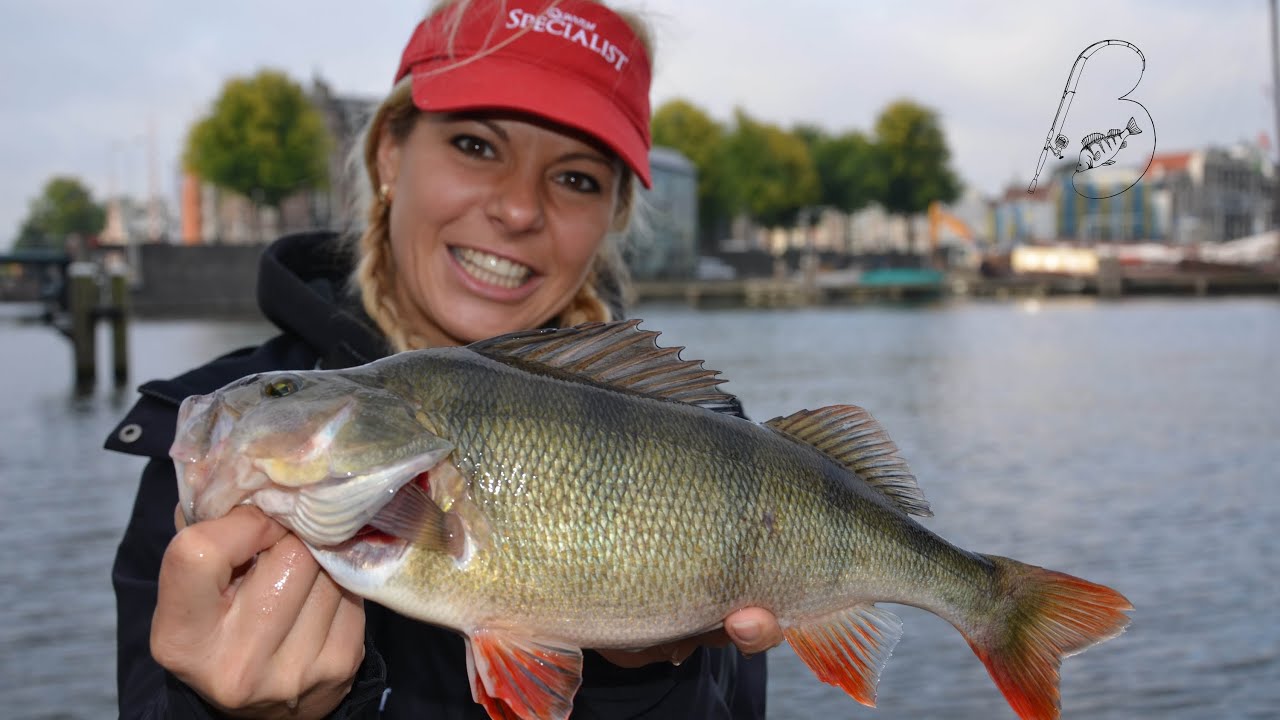 STREETFISHING in AMSTERDAM auf Hecht, Zander und Barsch