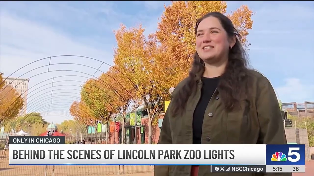 A look behind the scenes of the Lincoln Park Zoo Lights