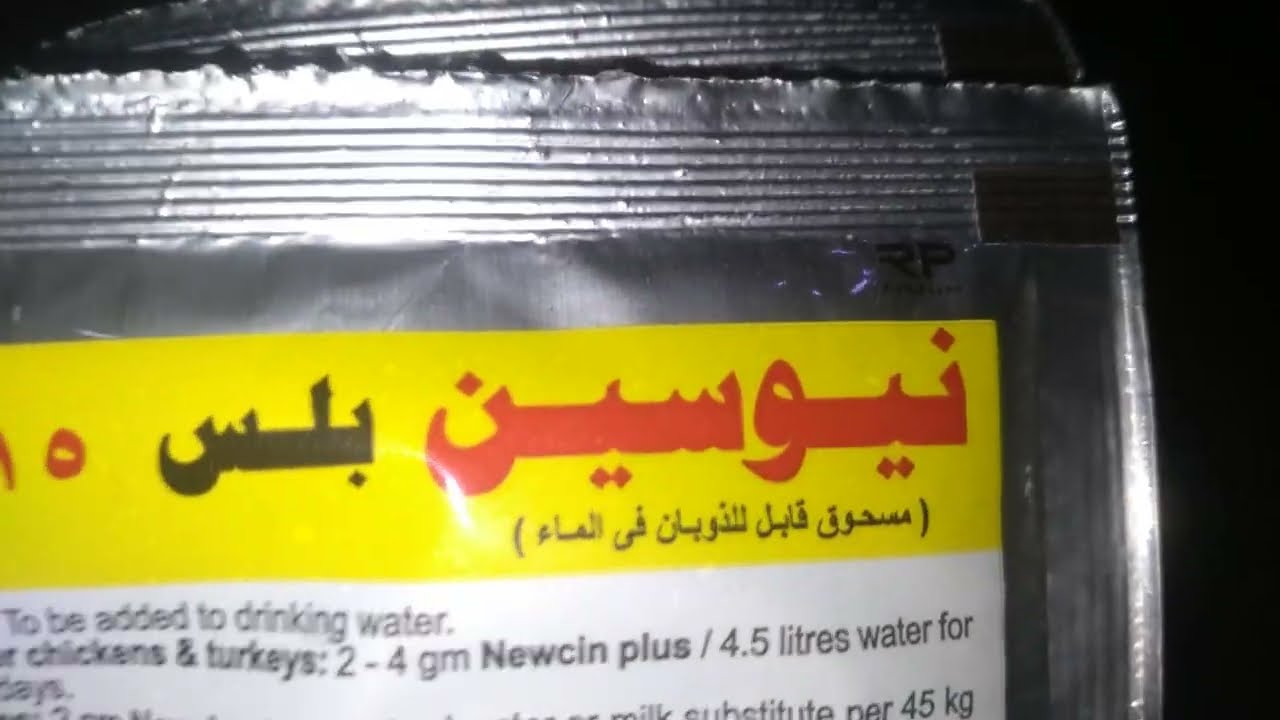 ازاي بدء تربيه الفراخ البيضه في  أيام  دي وهل افضل نوع الكتكوت ايه  كلام مهم جدا عن تربيه الفراخ 