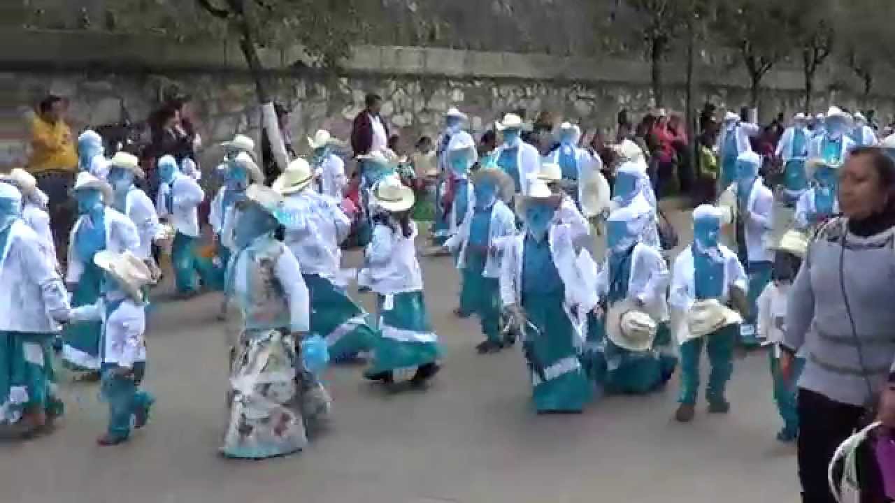 CARNAVAL HUAUCHINANGO 2015