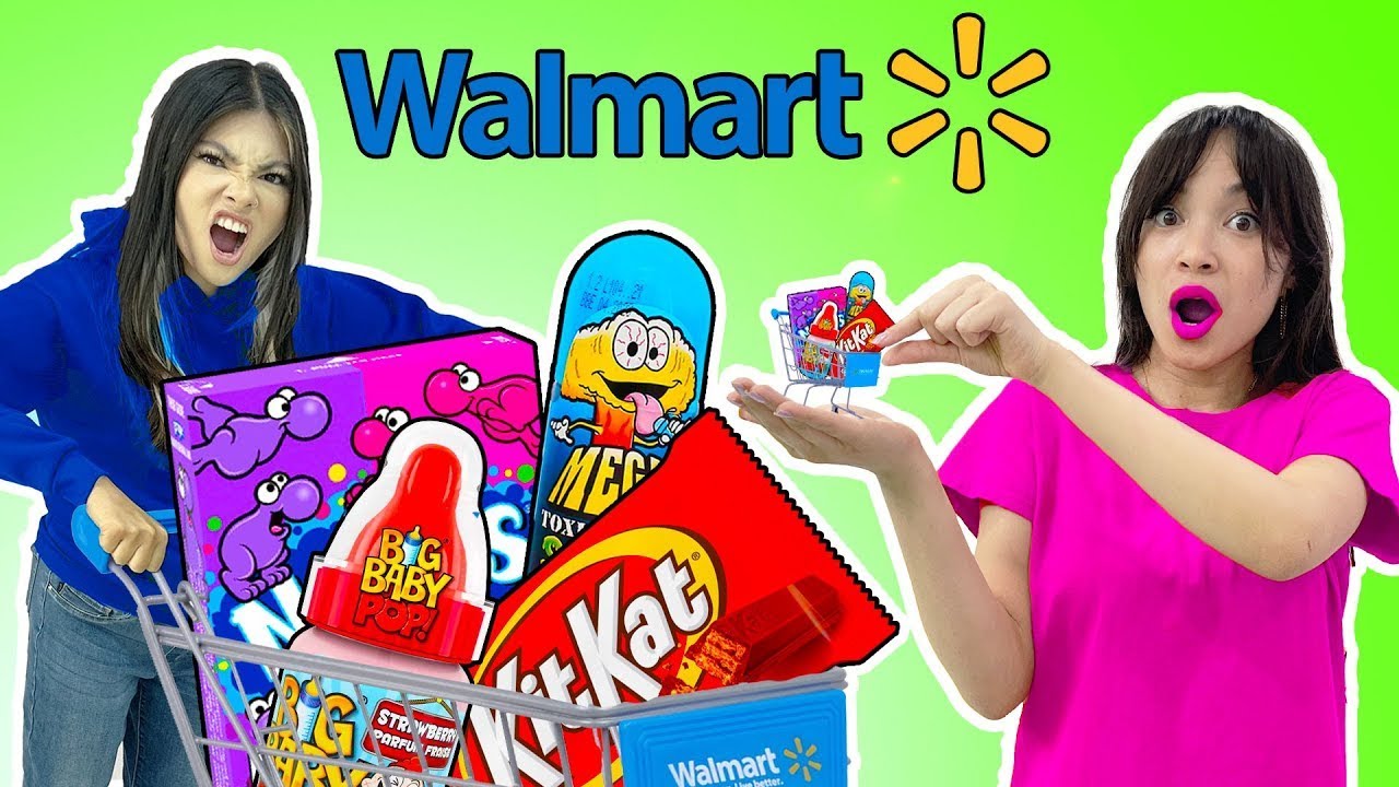 ZOEY & LILY BUILD THEIR OWN WALMART’S AT HOME TO MAKE THE WORLD’S MOST TINY FOOD BY SWEEDEE