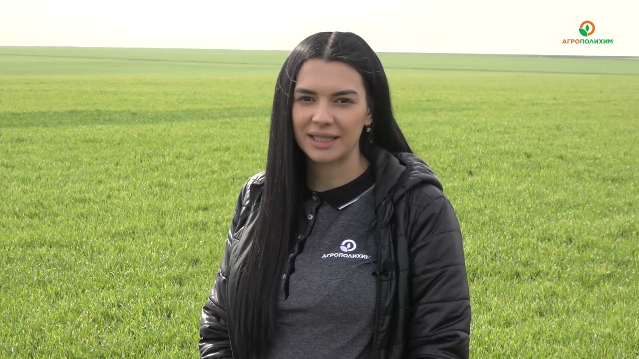 ТЕЧНИЯТ АЗОТЕН ТОР UAN СТИМУЛИРА ПРОЛЕТНОТО БРАТЕНЕ