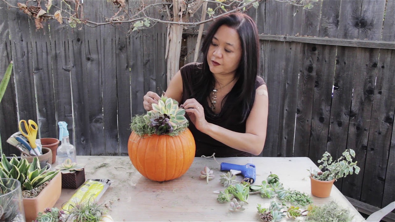 DIY Pumpkin Fall and Thanksgiving Centerpiece