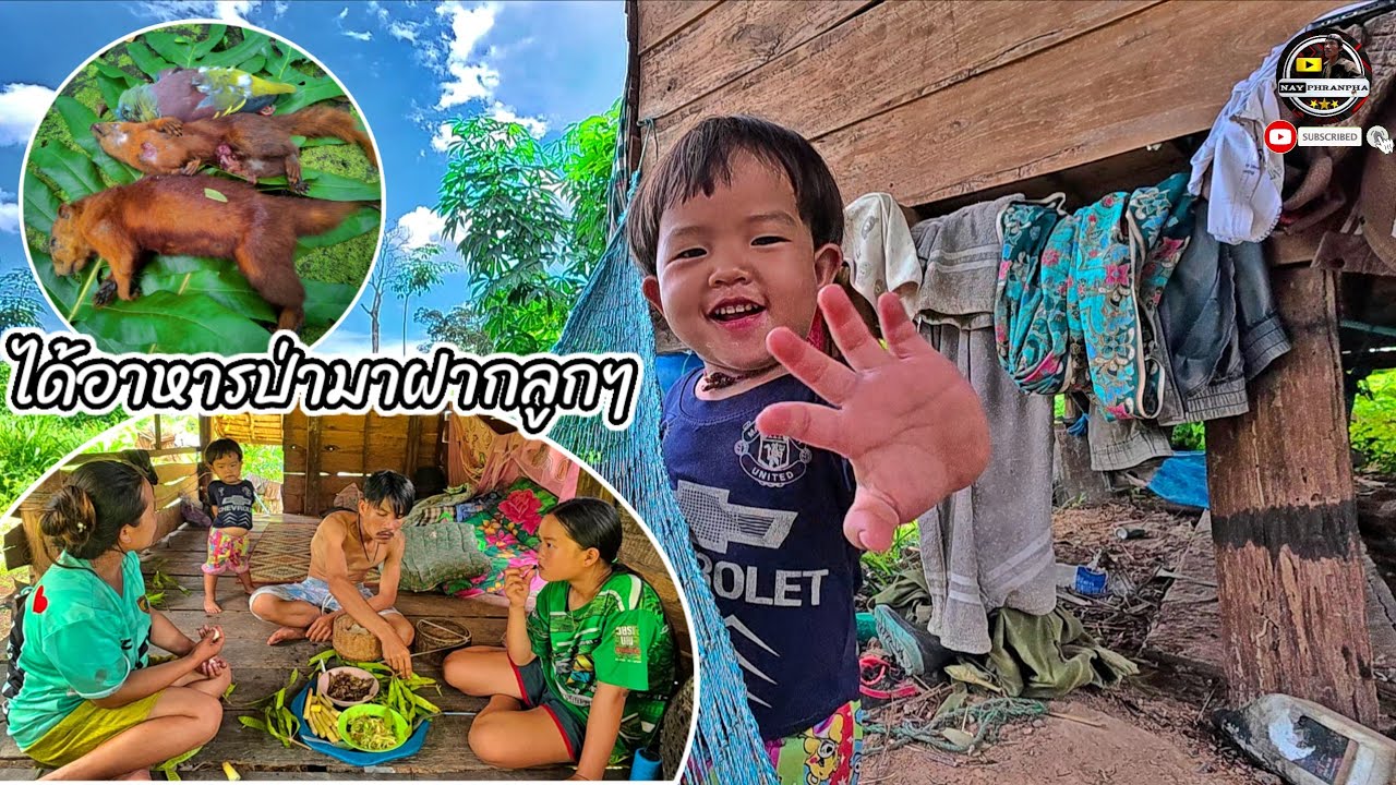 เอาของป่ามาต้อนลูกๆอยู่เถียงไฮ่/ເອົາຂອງປ່າມາຕ້ອນລູກໆ17 กันยายน ค.ศ. 2025