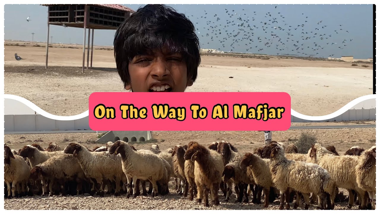 Fun Trip To Al Mafjar | Part - 1 | N'sness Hunt