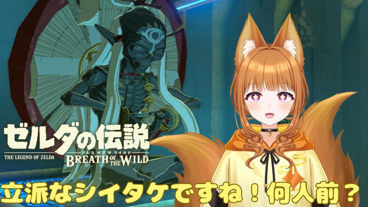 【ゼルダの伝説 ブレス オブ ザ ワイルド】今夜は鍋料理かな【#狐塚配信局】