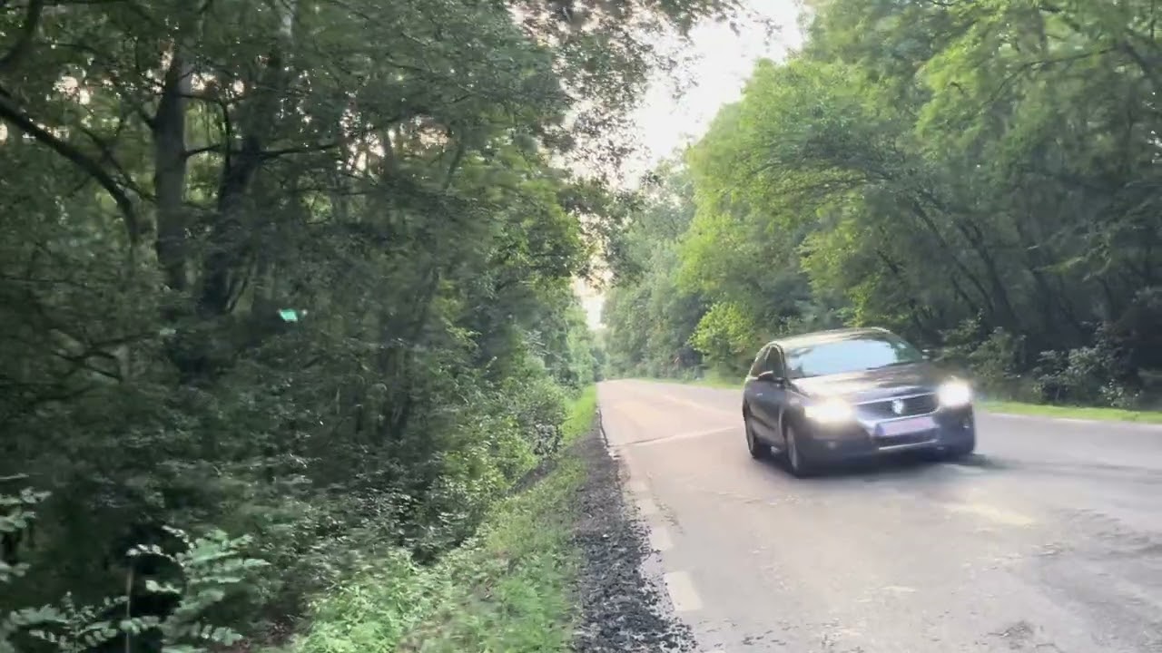 Prin pădure spre Camping ⛺️ Zăval DJ în 🇷🇴Express 24-06-24