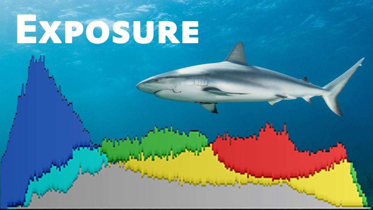 Exposure and Your Histogram