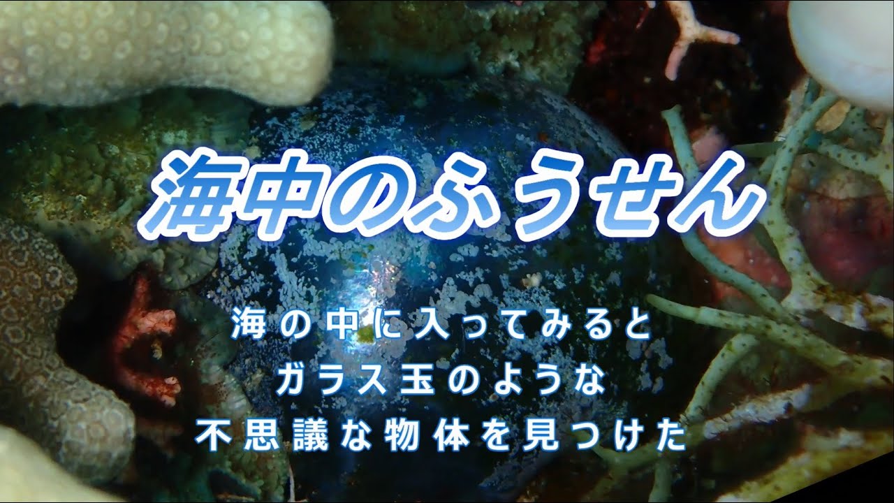 E-No.19　海中のふうせん 　バロニア