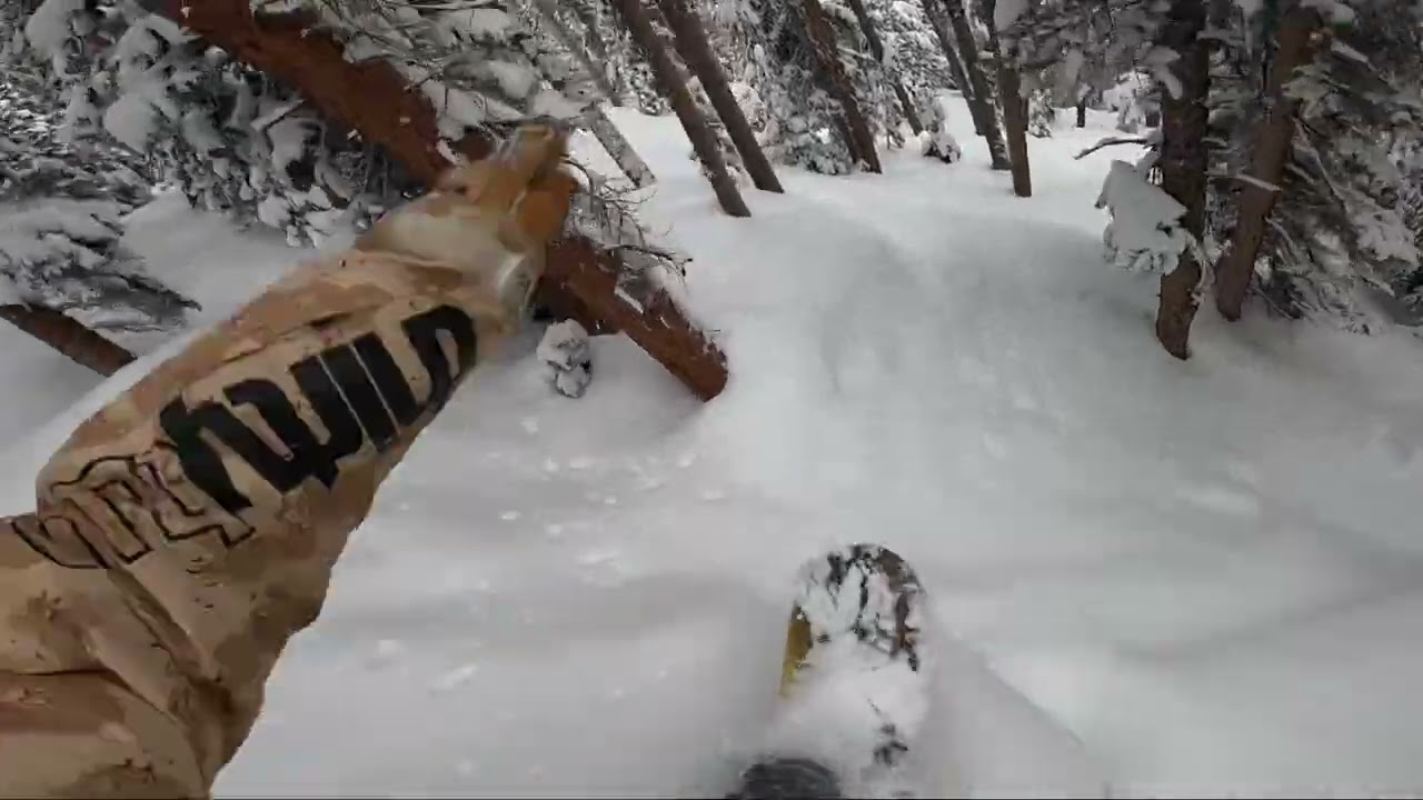 Colorado side country powder snowboarding on the Never Summer Harpoon