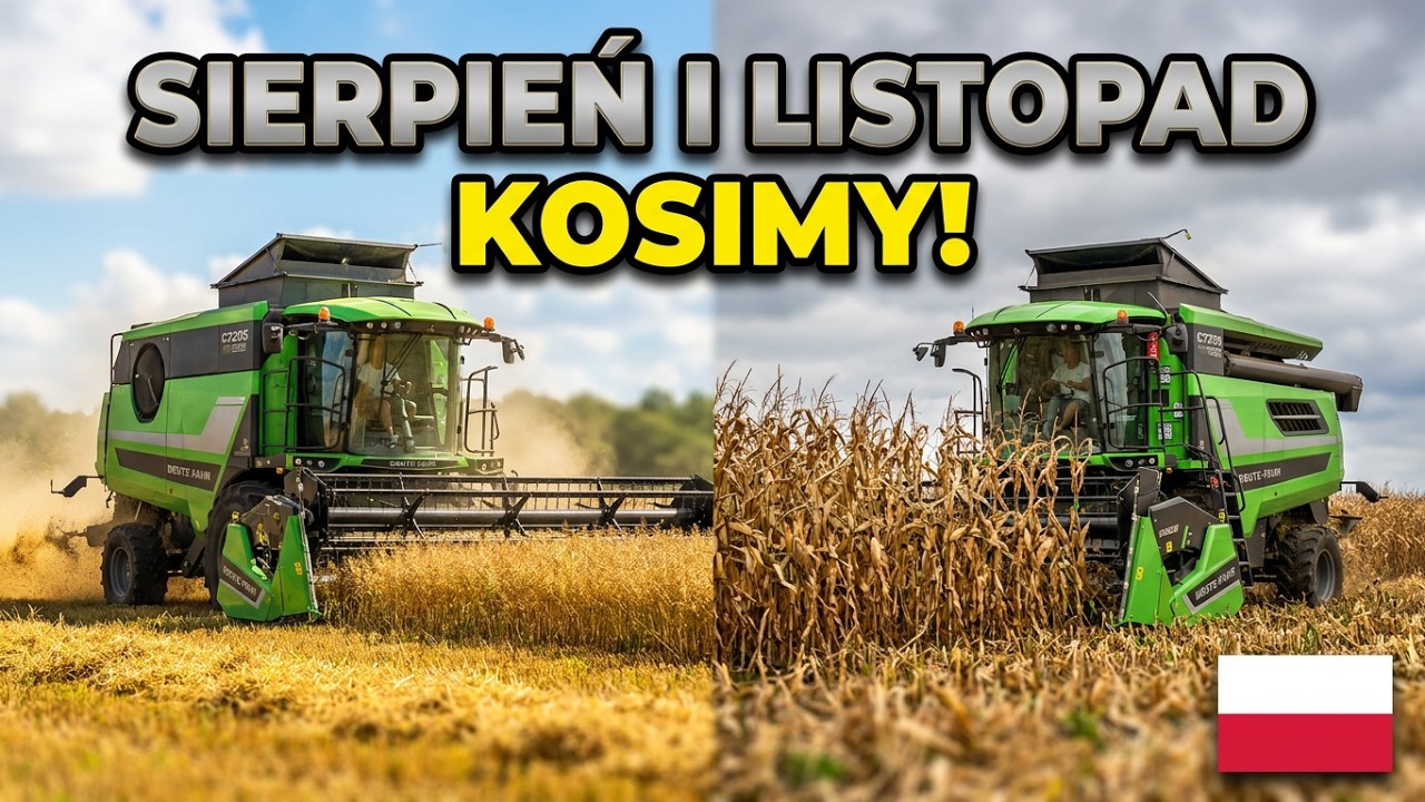 kosimy w sierpniu i listopadzie 👉kombajn Deutz-Fahr C7205  TS