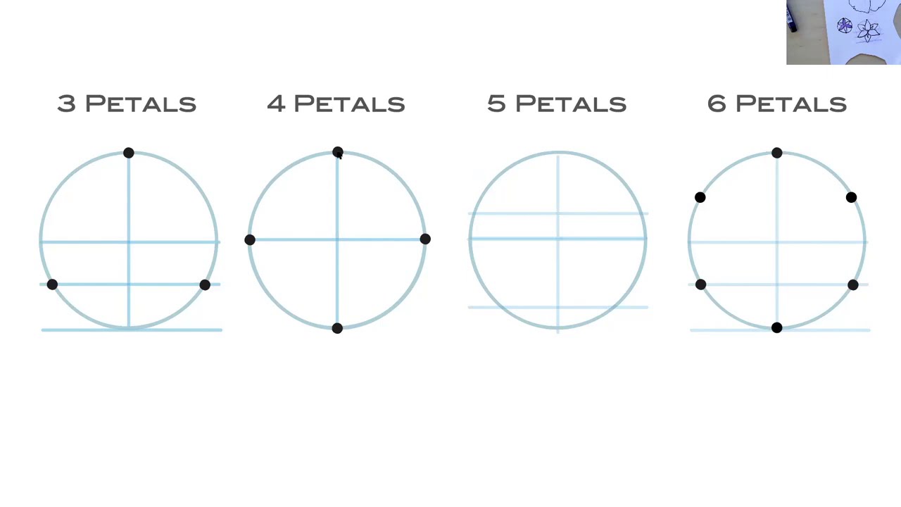 Flower Symmetry and Foreshortening