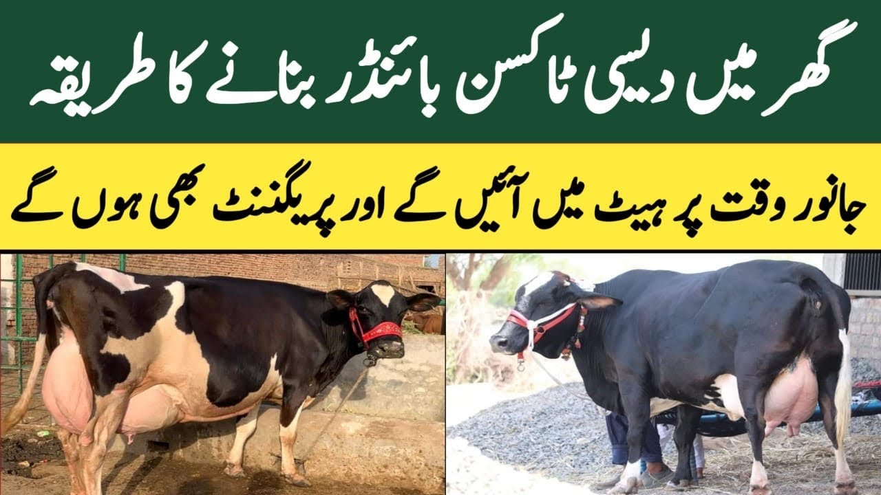 Toxin binder k faiday or banane ka tarika