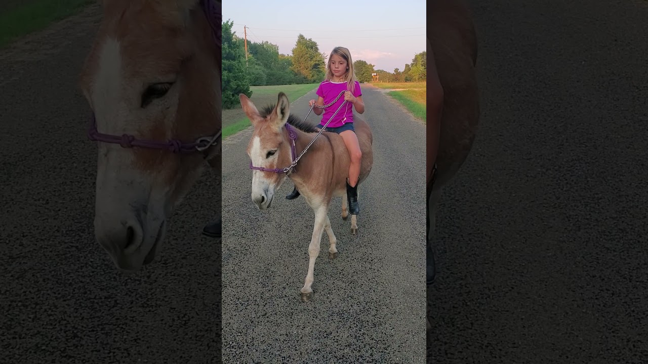 Ride that donkey #SelahsSanctuary