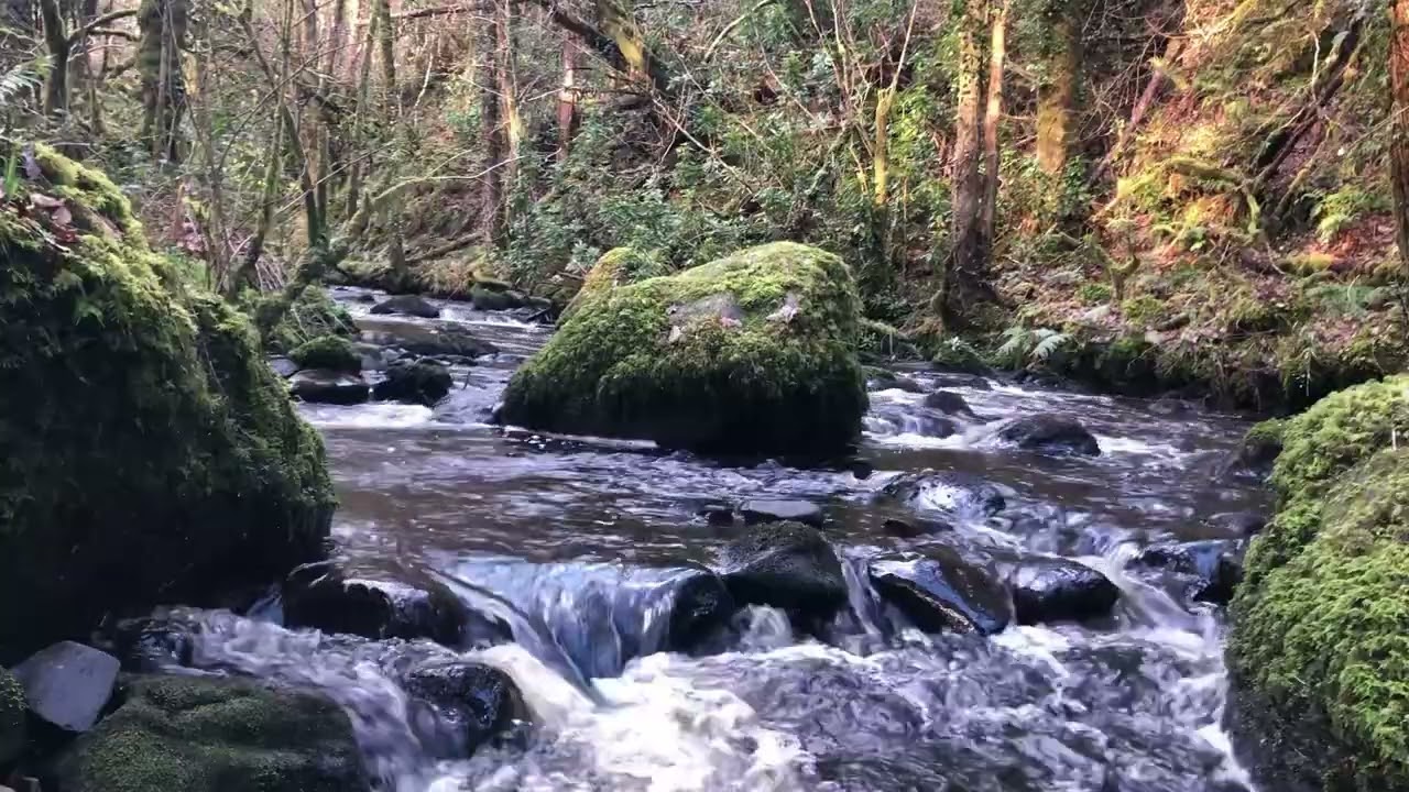 RIVER SOUNDS OVER 5 HOURS OF NATURAL COMFORTING SOUNDS FOR SLEEP, STUDY, FOCUS.