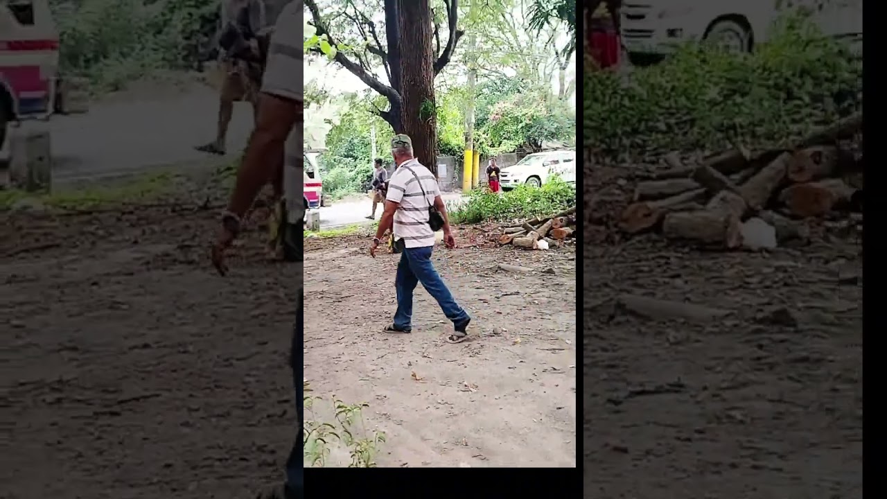 Ganito Pala mag putol ng malaking puno