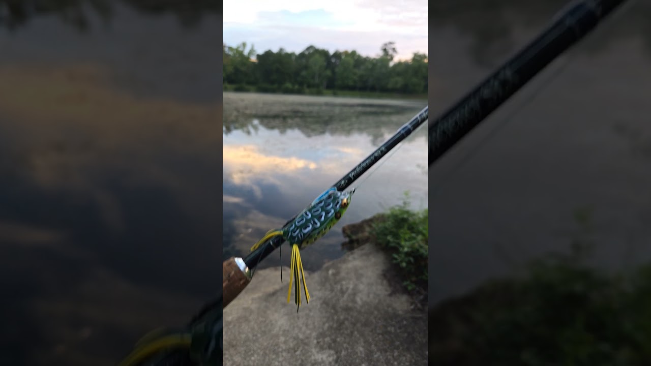 Top Water Bass Fishing